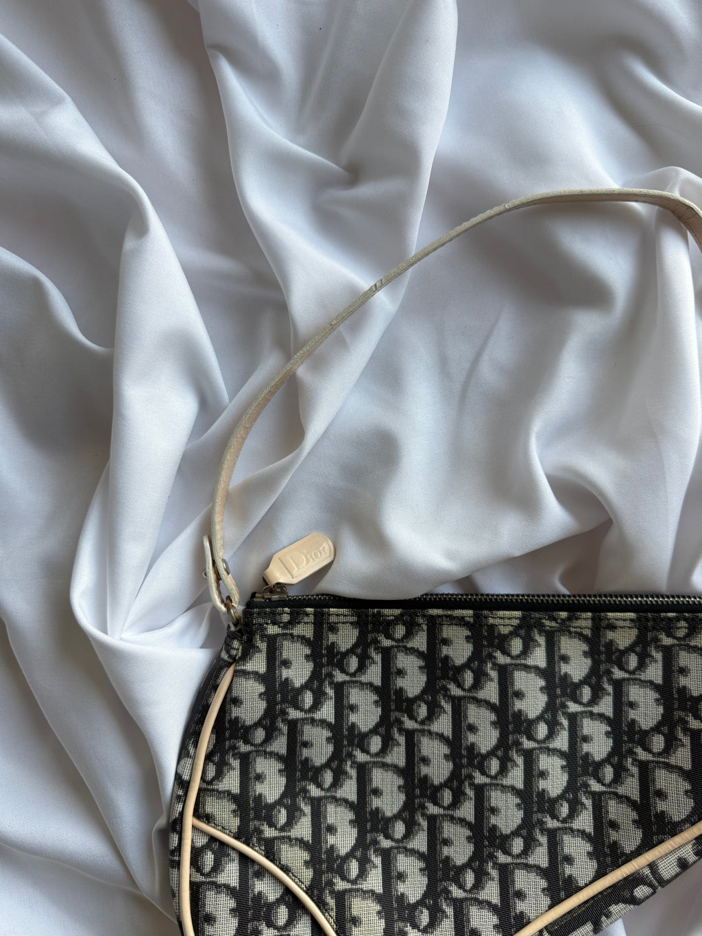 DIOR MINI SADDLE POCHETTE BAG